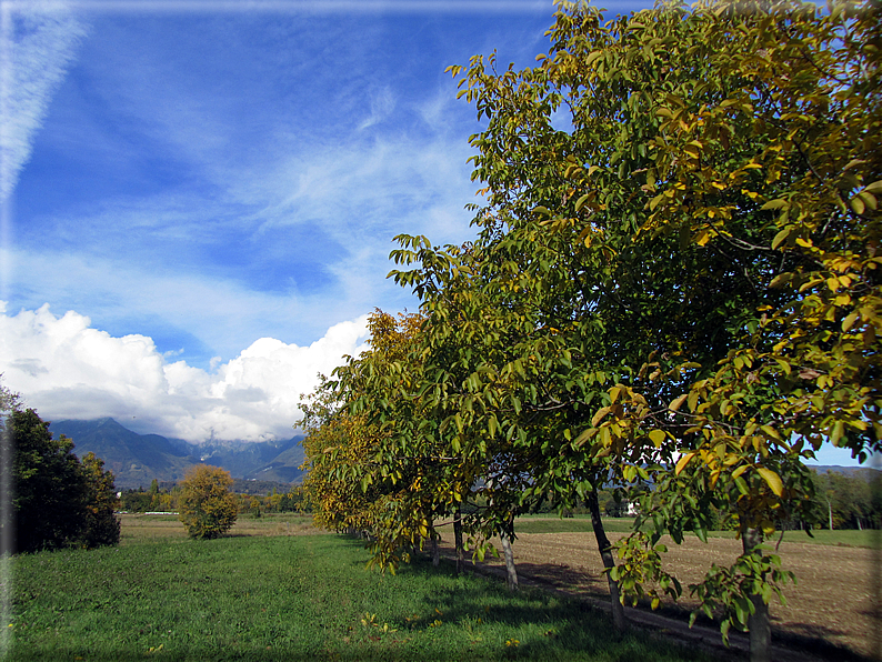 foto Paesaggi Autunnali tra le colline Fontesi